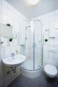 a bathroom with a shower and a sink and a toilet at Landhotel Lembergblick in Feilbingert