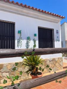 una casa con una maceta en la pared en Vivienda Rural El Ejido, en El Real de la Jara