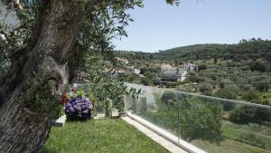 Paisagem natural perto of the country house
