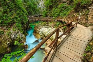 a wooden bridge over a river with blue water at Apartma ELA in Zgornje Gorje