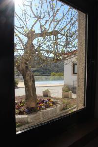 Paisagem natural perto of the country house