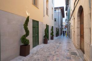 an alley with potted plants on the side of a building at Soller Plaza in Sóller