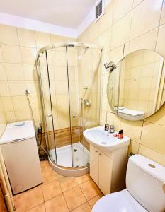W łazience znajduje się prysznic, toaleta i umywalka. w obiekcie Apartament blisko morza - Yellow Stone w Gdańsku
