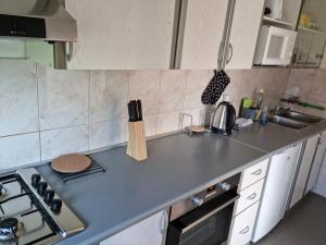 a kitchen with a sink and a counter top at Apartman Lumi in Čakovec