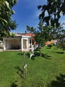 Vonkajšia záhrada v ubytovaní Apartment Neven