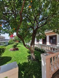 Vonkajšia záhrada v ubytovaní Apartment Neven