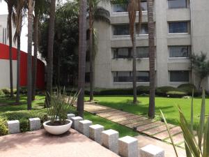 Un jardín fuera de Royal Pedregal