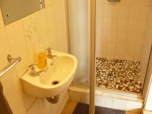 un bagno con lavandino e doccia di Antique Silk Self Catering Unit a Grahamstown Altre 24 foto
