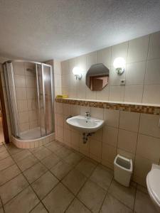 ein Bad mit einem Waschbecken, einer Dusche und einem WC in der Unterkunft Ferienwohnung Keil in Bad Schandau