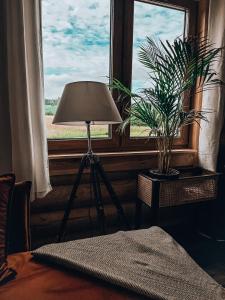 a lamp sitting in front of a window with a plant at Sielski dom z basenem w Rydzewie in Rydzewo