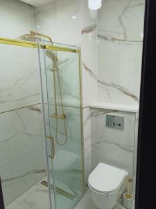 a bathroom with a glass shower with a toilet at Apartament Letnicka, Nowy, 950m od morza in Gdańsk