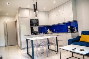 Kuchyňa alebo kuchynka v ubytovaní Luksusowy apartament na Starym Miescie