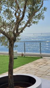 Pire'deki BEDWAVE Seaside Mansion tesisine ait fotoğraf galerisinden bir görsel