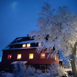 ein Haus mit Fenstern und einem Baum im Schnee in der Unterkunft Ferienwohnung Zum Ausblick in Kurort Altenberg