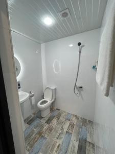 a white bathroom with a toilet and a shower at Apartments Tumanyan in Yerevan