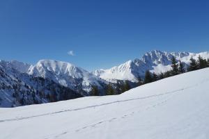 Obiekt Chalet Chocolat zimą
