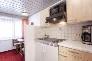 Kuchyň nebo kuchyňský kout v ubytování Haus Hrabovsky