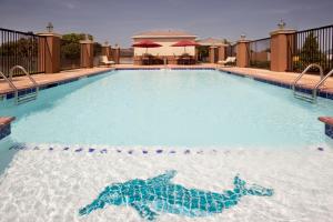 a swimming pool with a turtle in the water at Candlewood Victoria by IHG in Victoria +14 photos