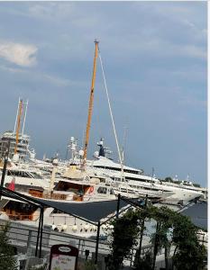 Ein großes weißes Boot liegt in einem Hafen vor Anker. in der Unterkunft Best location port hercule monaco in Monte Carlo