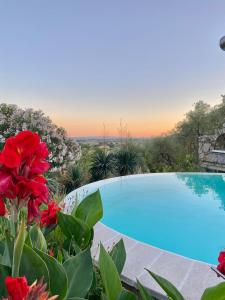 a swimming pool in a garden with red flowers at Agriturismo La Sorgente di Rossi Valentino in Larciano