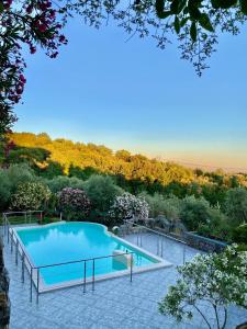 uma piscina no meio de um quintal com árvores em Agriturismo La Sorgente di Rossi Valentino em Larciano