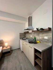 eine Küche mit einer Spüle und einer Arbeitsplatte in der Unterkunft Darki Apartment 2 - Very Central Stay With Free Parking in Ohrid