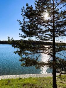 a tree in front of a lake with the sun at Ruciane Tarasy in Ruciane-Nida