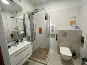 a bathroom with a shower and a toilet and a sink at Apartamenty "SZKIEŁKO" in Koszalin +10 photos