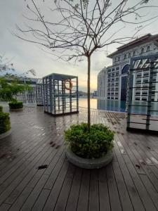 un árbol sentado en una terraza de madera junto a un edificio en Prestige Troika Kota Bharu, en Kota Bharu