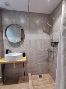 uma casa de banho com um lavatório e um chuveiro com um espelho. em Baloo Hostel em Atenas