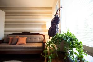 a living room with a couch and a plant at Holiday Villa Tonkokumpu - upea loma-asunto in Syöte +13 photos