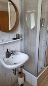 a bathroom with a white sink and a mirror at Pension Am Stadtholz in Kröpelin