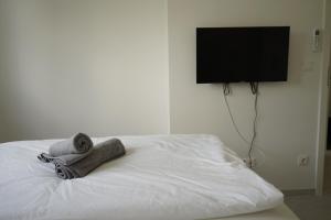 a bed with a towel on it with a flat screen tv at DM Apartment in Vienna