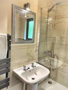 ein Bad mit einem Waschbecken, einer Dusche und einem Spiegel in der Unterkunft Primrose 20-Woodland Lodges-Carmarthen-Pembroke in Carmarthen