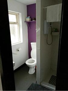 a bathroom with a toilet and a window and a phone at Townhouse Wexford in Wexford