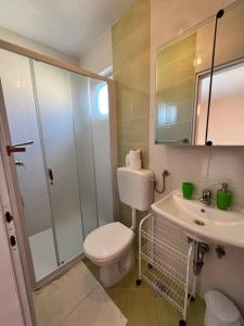 a bathroom with a toilet and a sink and a shower at Haus Zdenka in Rab +45 photos