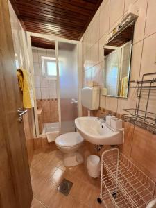 ein Badezimmer mit einem Waschbecken, einem WC und einem Spiegel in der Unterkunft Haus Zdenka in Rab