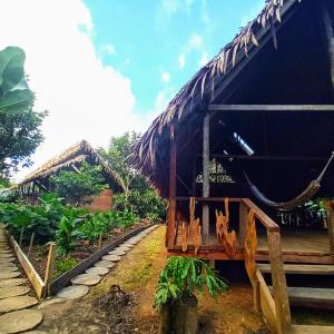 Zahrada ubytování Casa Azul Reserva Amazonica