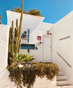 a white building with a cactus and a door at Romantic Casa del Mar in Costa Teguise