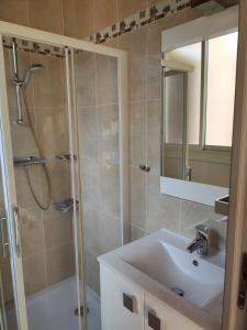 a bathroom with a shower and a sink and a mirror at Studio belles prestations en Cévennes in Chamborigaud