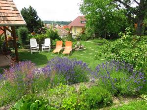 ヘーヴィーズにあるKővirág Apartmanの紫とオレンジの花が咲く庭園
