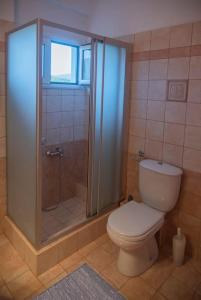 a bathroom with a toilet and a glass shower at Ioannina Cozy Retreat in Ioannina +10 photos