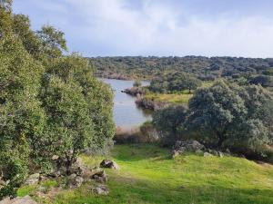 a view of a river from a field with trees at Albergue Alagón Natura in Valdeobispo