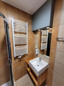 a bathroom with a sink and a shower at Ośrodek Wypoczynkowy Jacnia in Jacnia