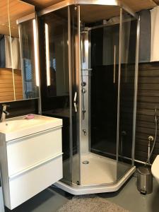 a shower with a glass door next to a sink at Rantakatti Apartments in Punkaharju +69 photos