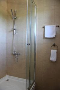 een douche in een badkamer met een glazen douchecabine bij Villa Elena Zagora in Neodi