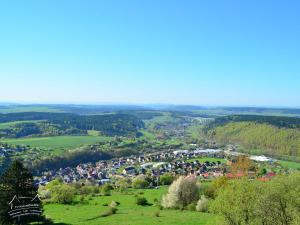 Rauenstein的住宿－Die Triniushütte "Thüringens schönste Aussicht"，山丘上城镇的空中景观