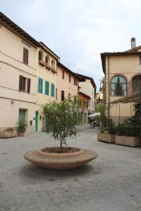 a tree in a pot in the middle of a courtyard at Serendipity House in Grosseto