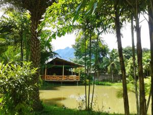 a house in the middle of a swamp with trees at Huan Chiang Dao Resort in Chiang Dao