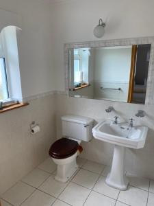 a bathroom with a toilet and a sink and a mirror at Atlantic Lodge in Galway +25 photos